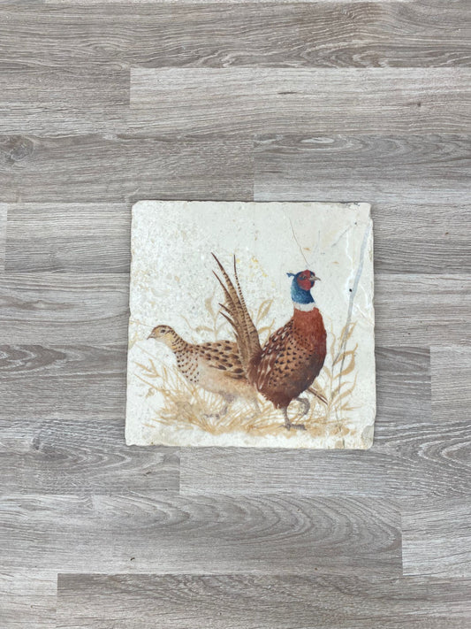 The Pheasant Parade Medium Platter **Low stock** SECONDS 6