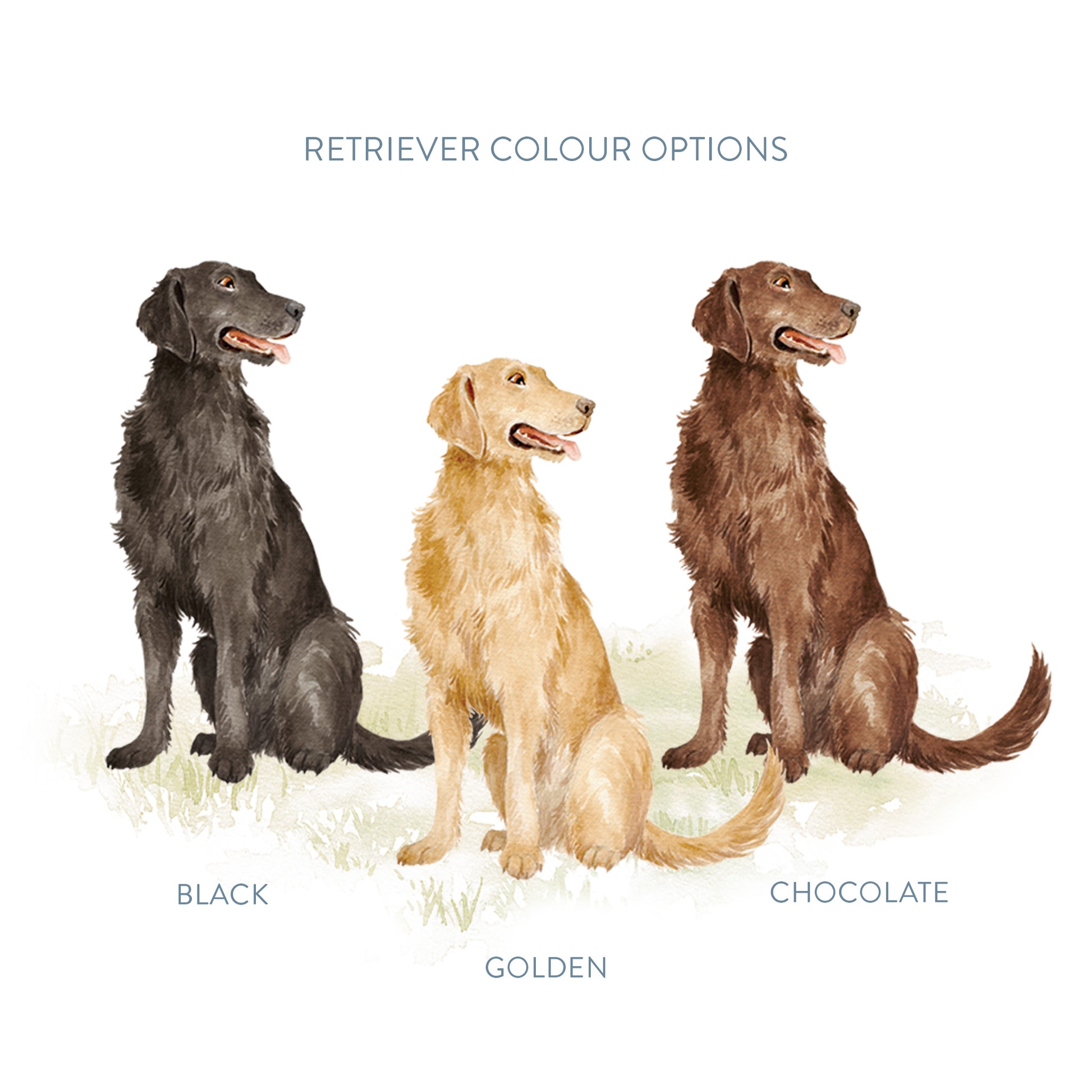 An illustration showing the 3 dog colour options available to choose from - black, golden and chocolate.