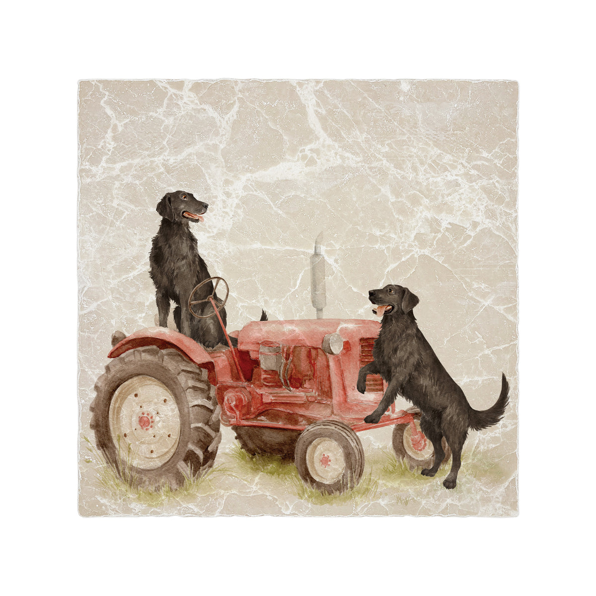 Humble's Hounds Retrievers Splashback Tile