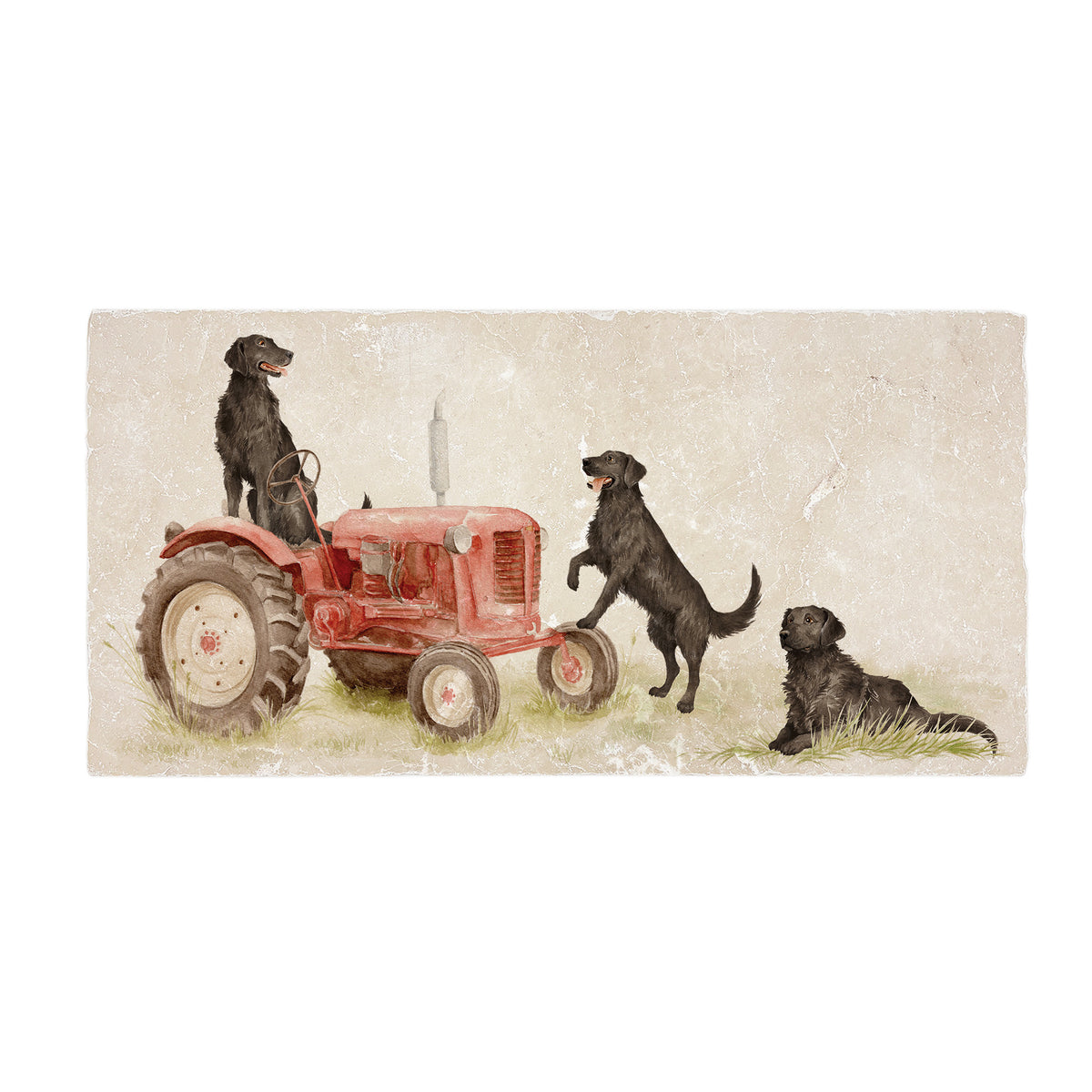 Humble's Hounds Retrievers Splashback Tile