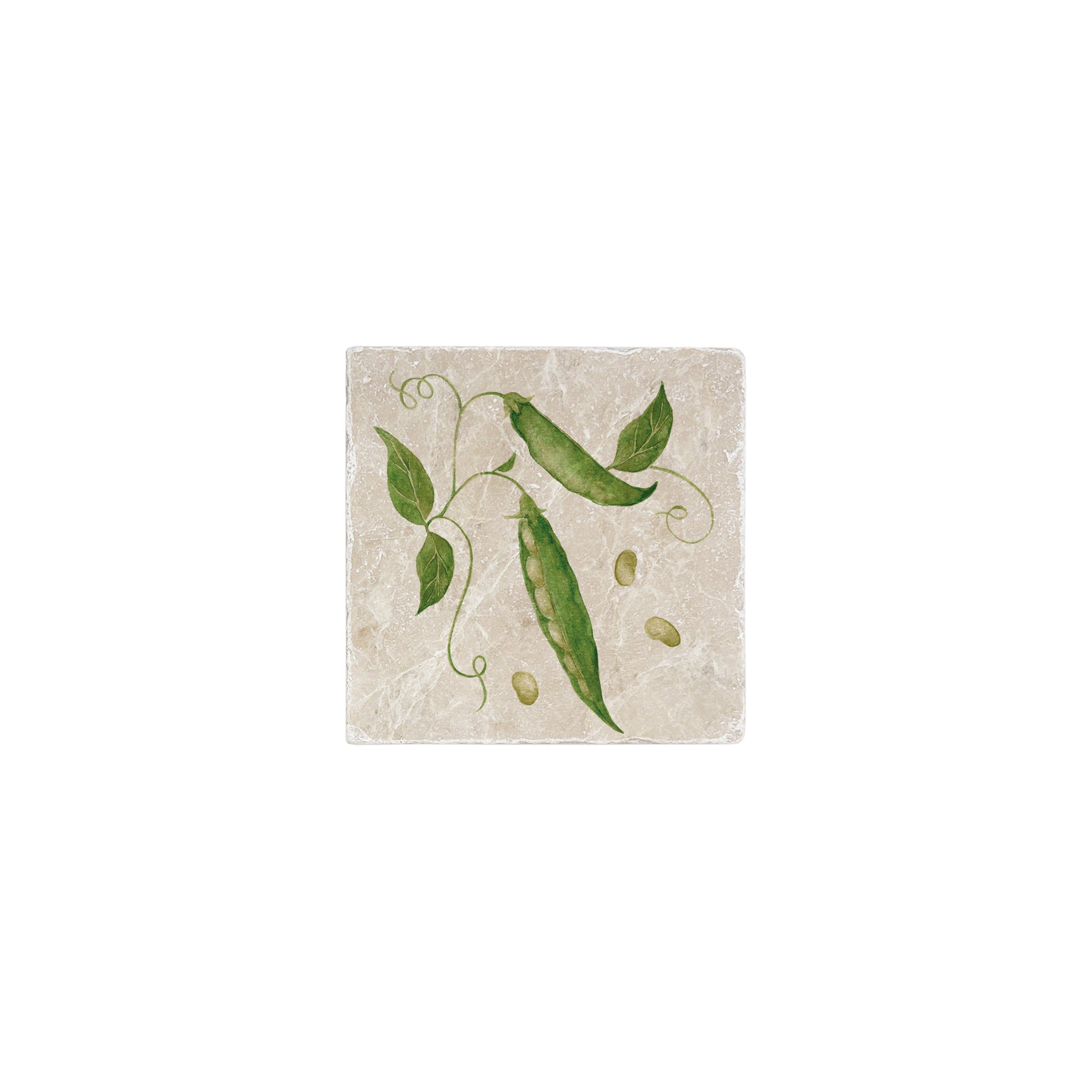 Watercolour Runner bean design. 