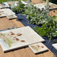 A square marble coaster and placemat with a working spaniel dog by a riverbank. A perfect gift for dog lovers.