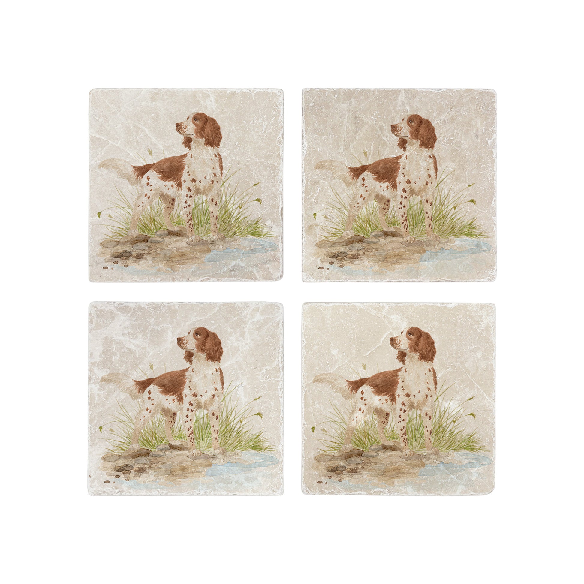 A set of 4 square marble coasters with a watercolour design of a working spaniel dog by a riverbank.