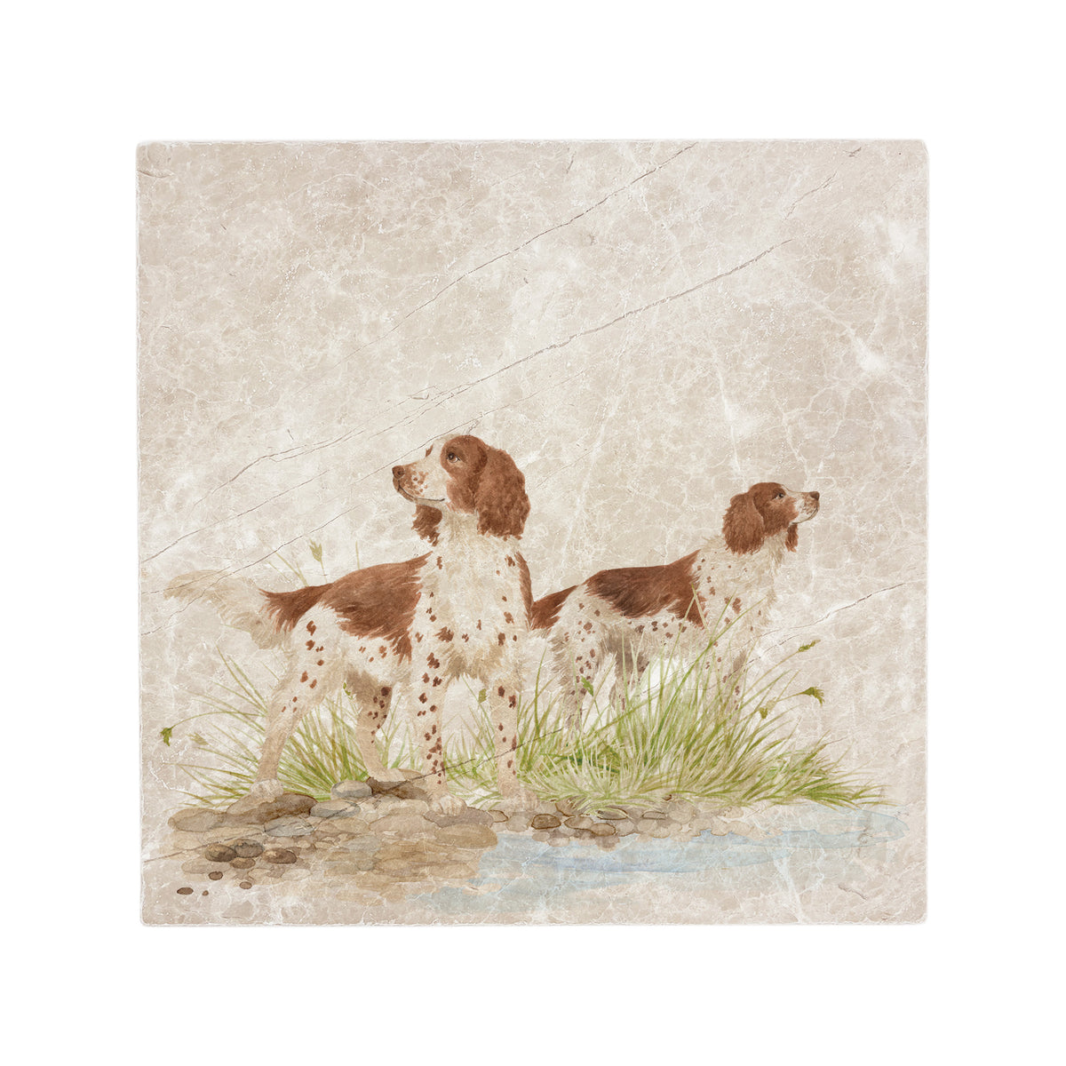 A large marble splashback tile with a design of two dogs standing by a river.
