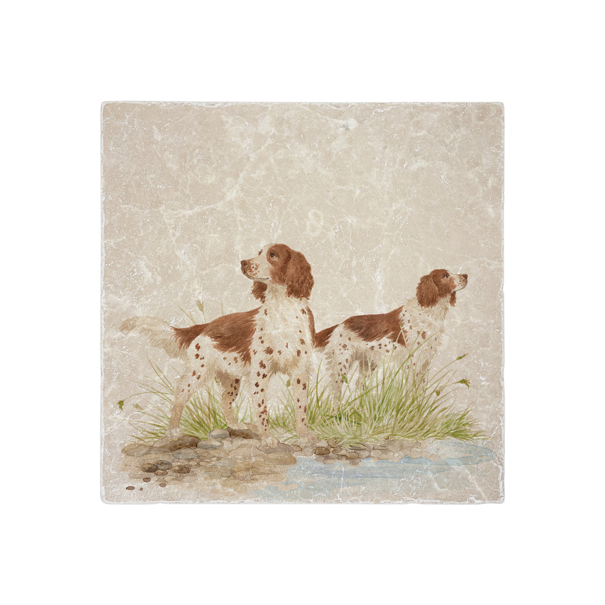 A medium marble splashback tile with a design of two dogs standing by a river.