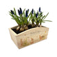 An arched wooden planter box showing a watercolour design of cute bunny rabbits among spring flowers. The planter can be personalised with names and a selection of phrases to suit any occasion, including wedding, anniversary, engagement, birthday and new home.
