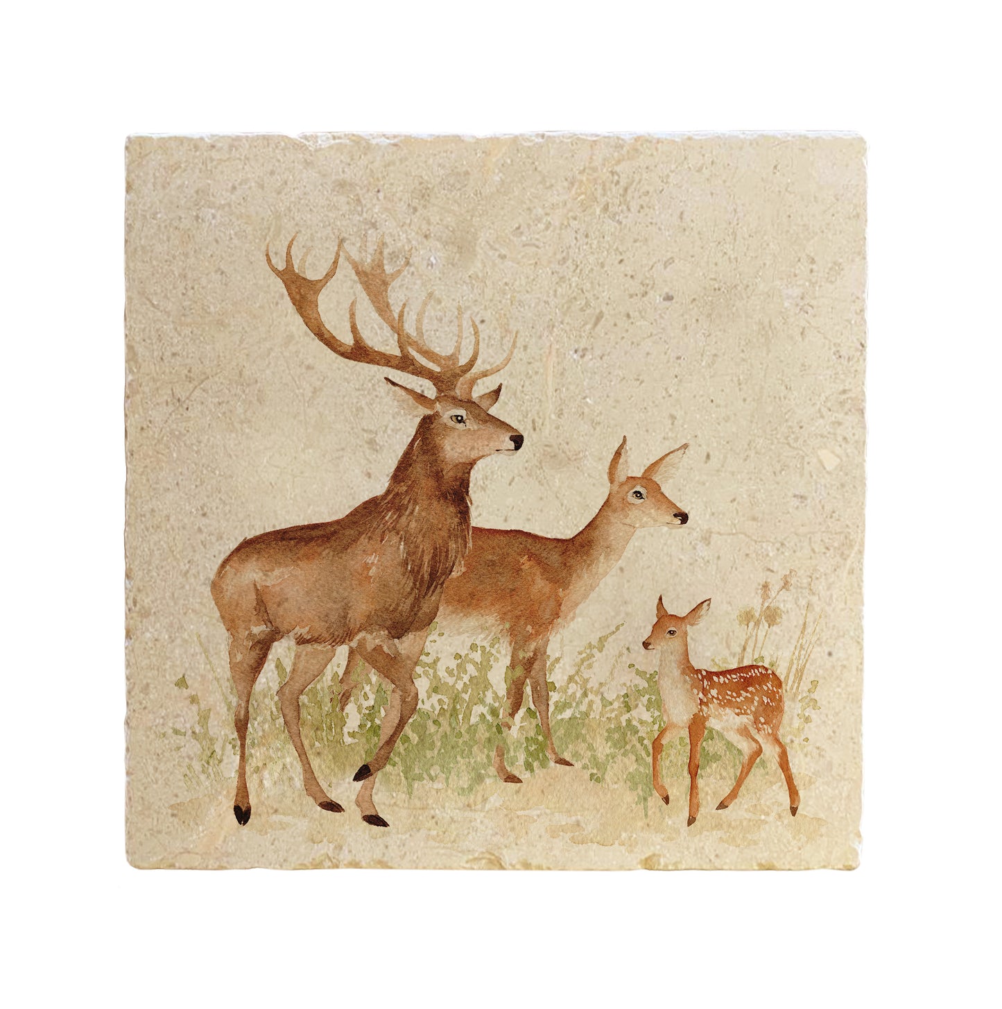 A large square marble platter or worktop saver, featuring a watercolour design of a red deer family. The family includes a stag, hind and fawn.