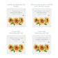 White Square personalised Wooden box with a decorative lid featuring illustrations of Sunflowers and a buzzy bee Perfect funeral memory keepsake box, for storing ashes, order of service, flowers and capturing your loved ones things in one place.