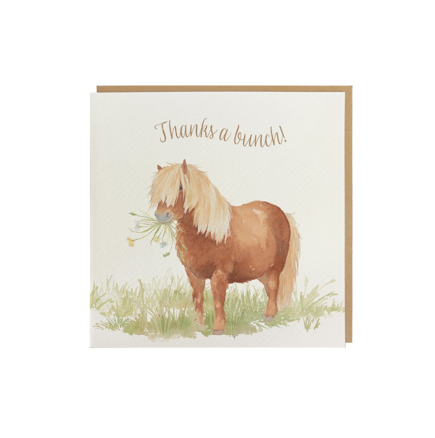 A greetings card reading Thanks a Bunch in brown text above a chestnut Shetland pony holding a bunch of flowers in a watercolour style. The card has a recyclable brown kraft envelope behind it.