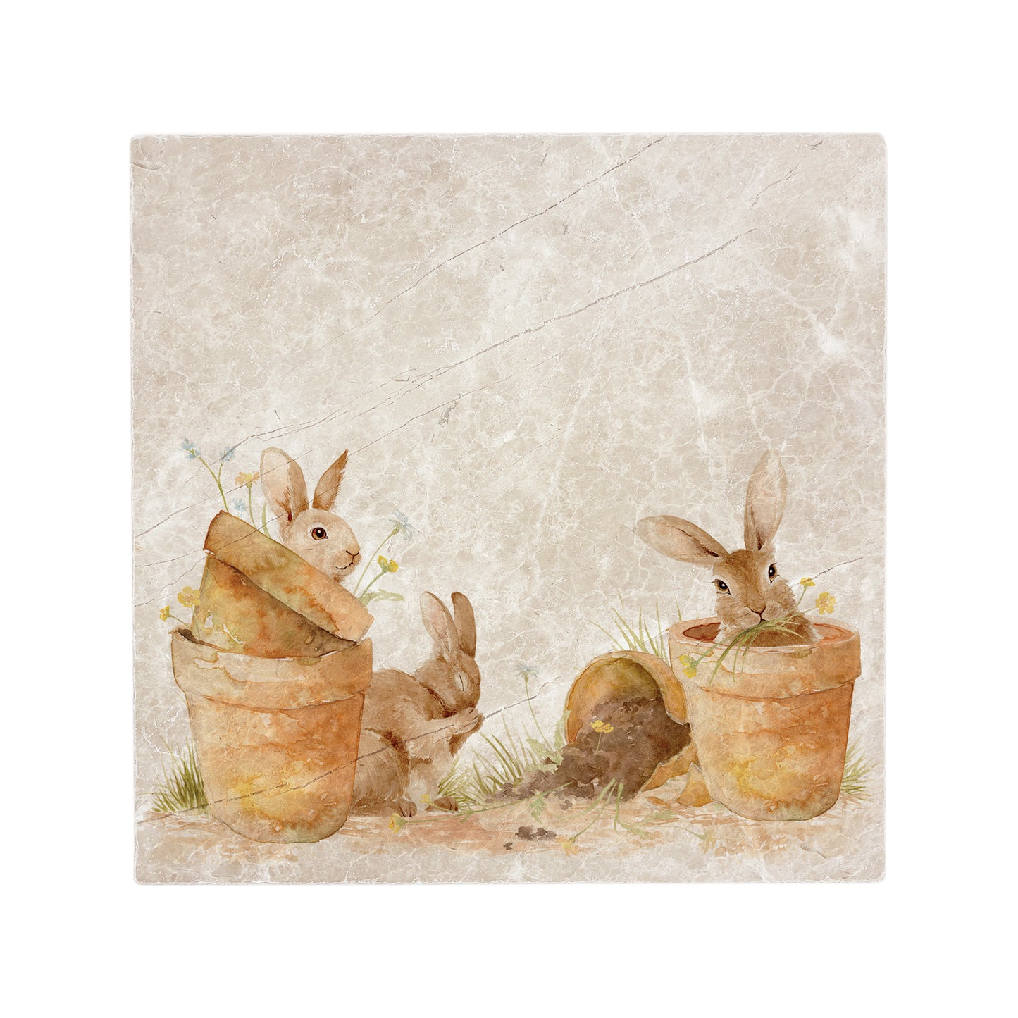 This design features our cheeky bunny rabbits hiding and nibbling away in pots. The perfect gift for the bunny lover. 