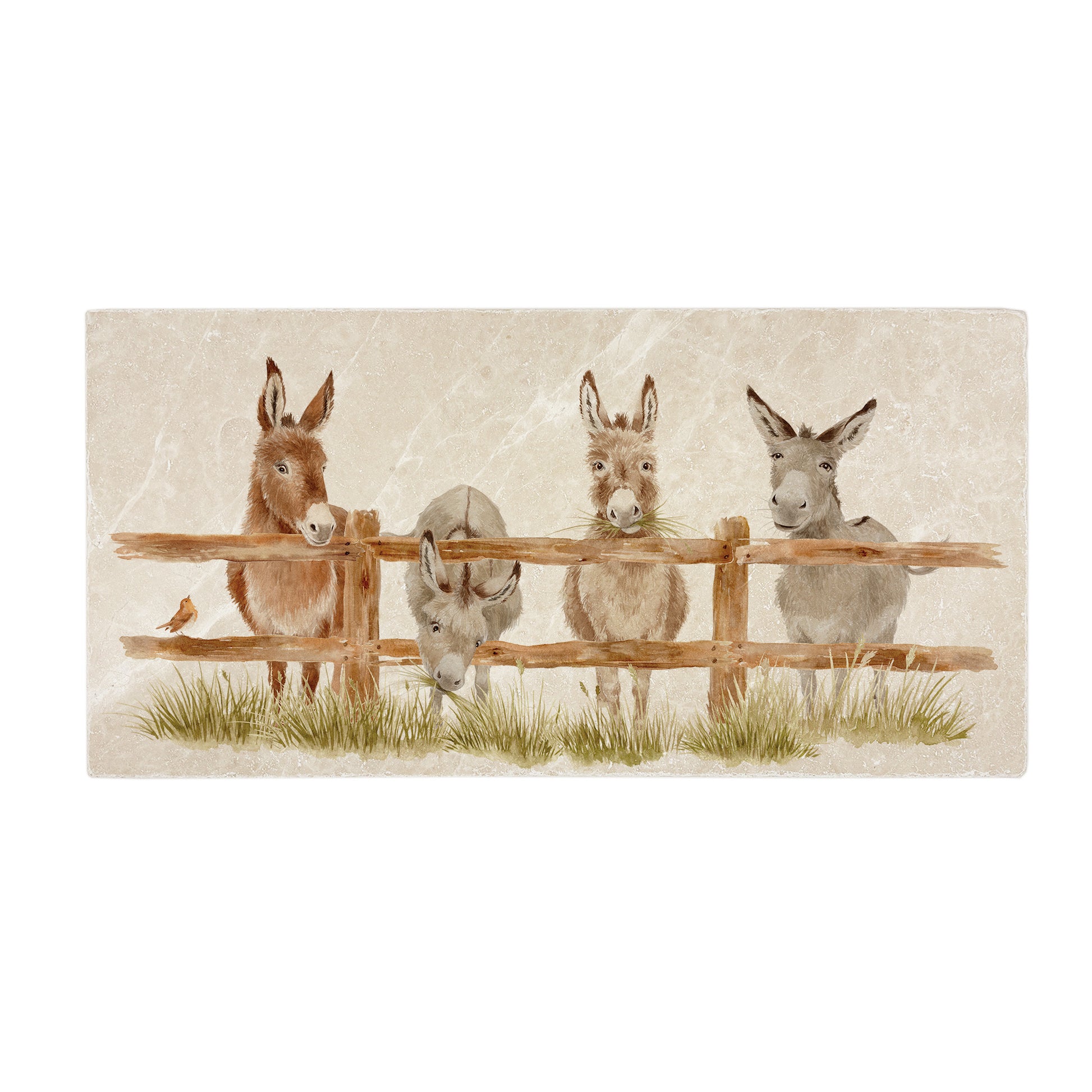 Mischievous Line-Up  of Donkeys along a fence line. hen is pinching the some grass from the next doors paddock! A great way to add a little fun to your space. 