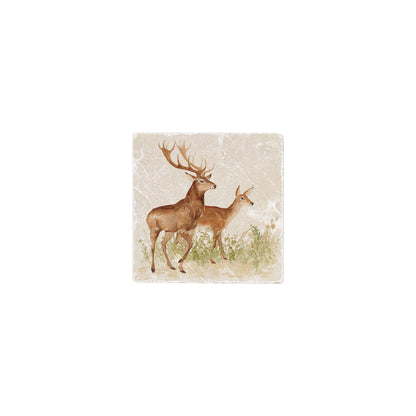 A deer family finding the perfect place to rest and set up home. 