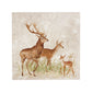 A deer family finding the perfect place to rest and set up home. 