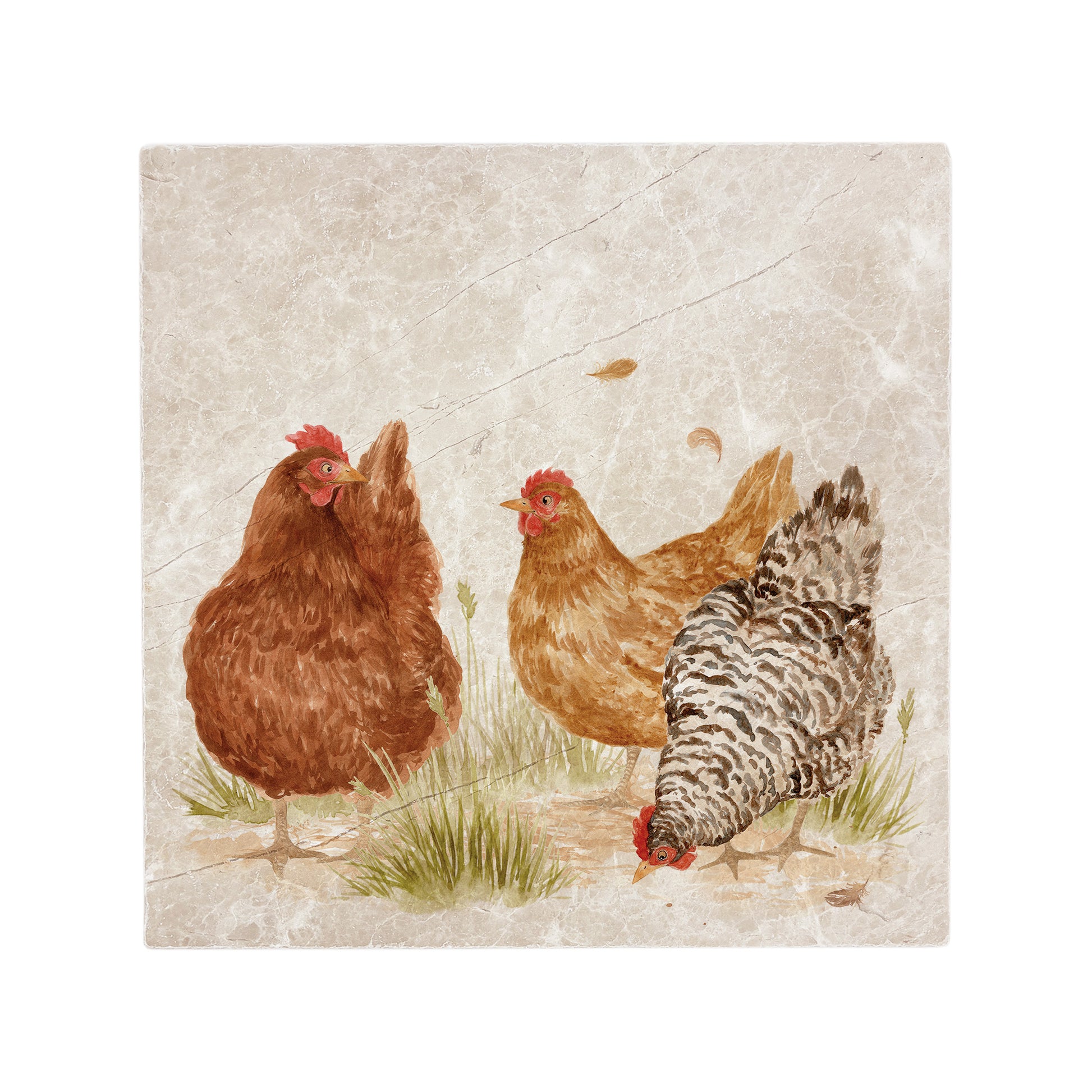3 fat hens gossiping on the farm, the perfect watercolour wall tile. 