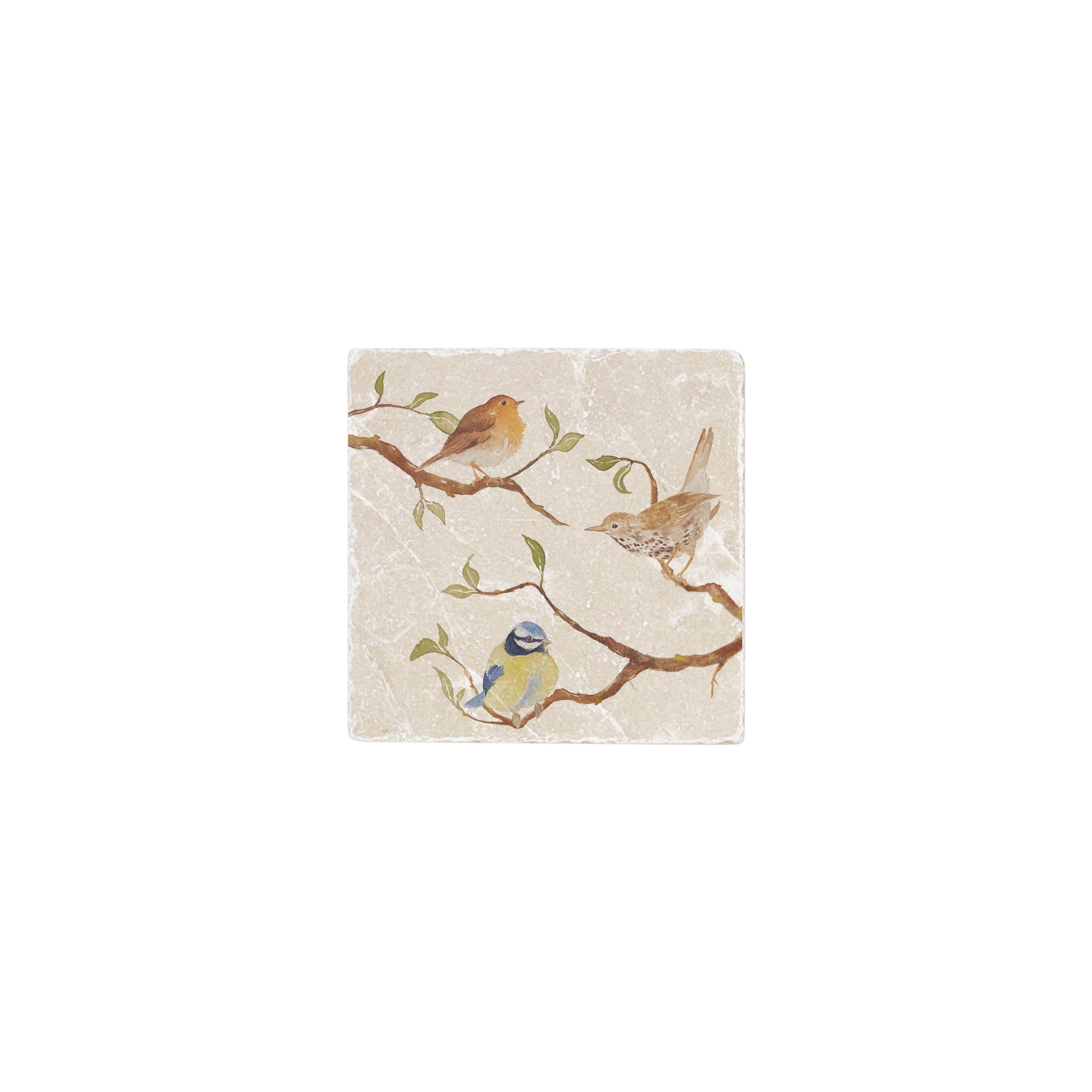 British Garden Birds on branches in a watercolour style 