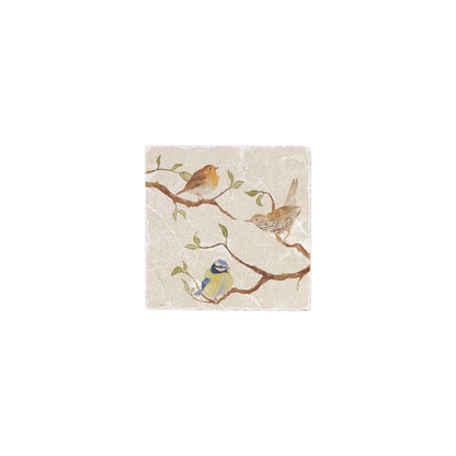 British Garden Birds on branches in a watercolour style 