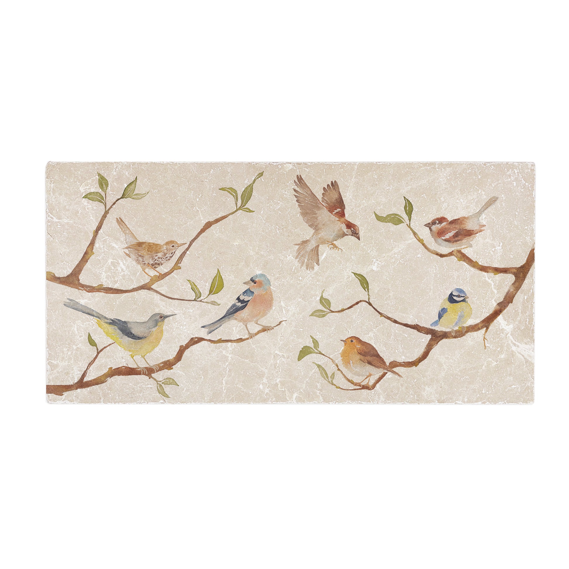 British Garden Birds on branches in a watercolour style 