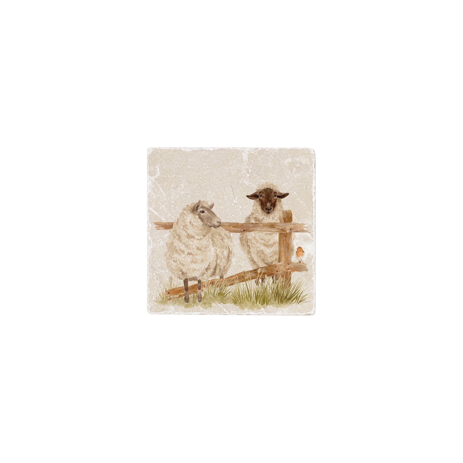 Cheeky Sheep breaking out of their field, A quiet Robin watching as the naughty ship misbehave. 