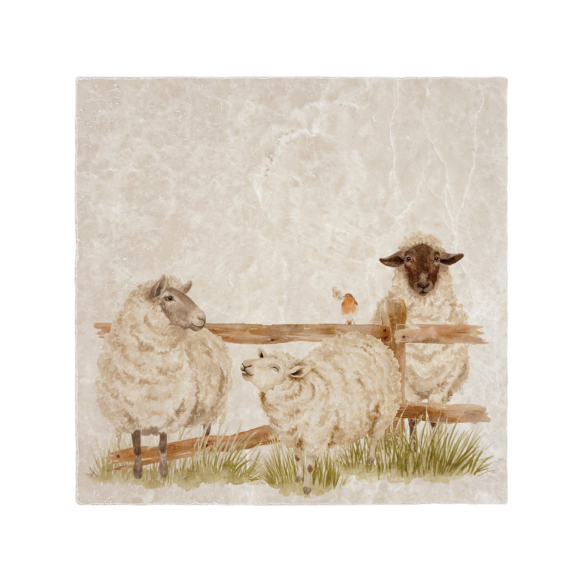 Cheeky Sheep breaking out of their field, A quiet Robin watching as the naughty ship misbehave. 