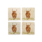 A set of four square marble coasters, featuring a watercolour design of a highland cow standing in a grassy field.