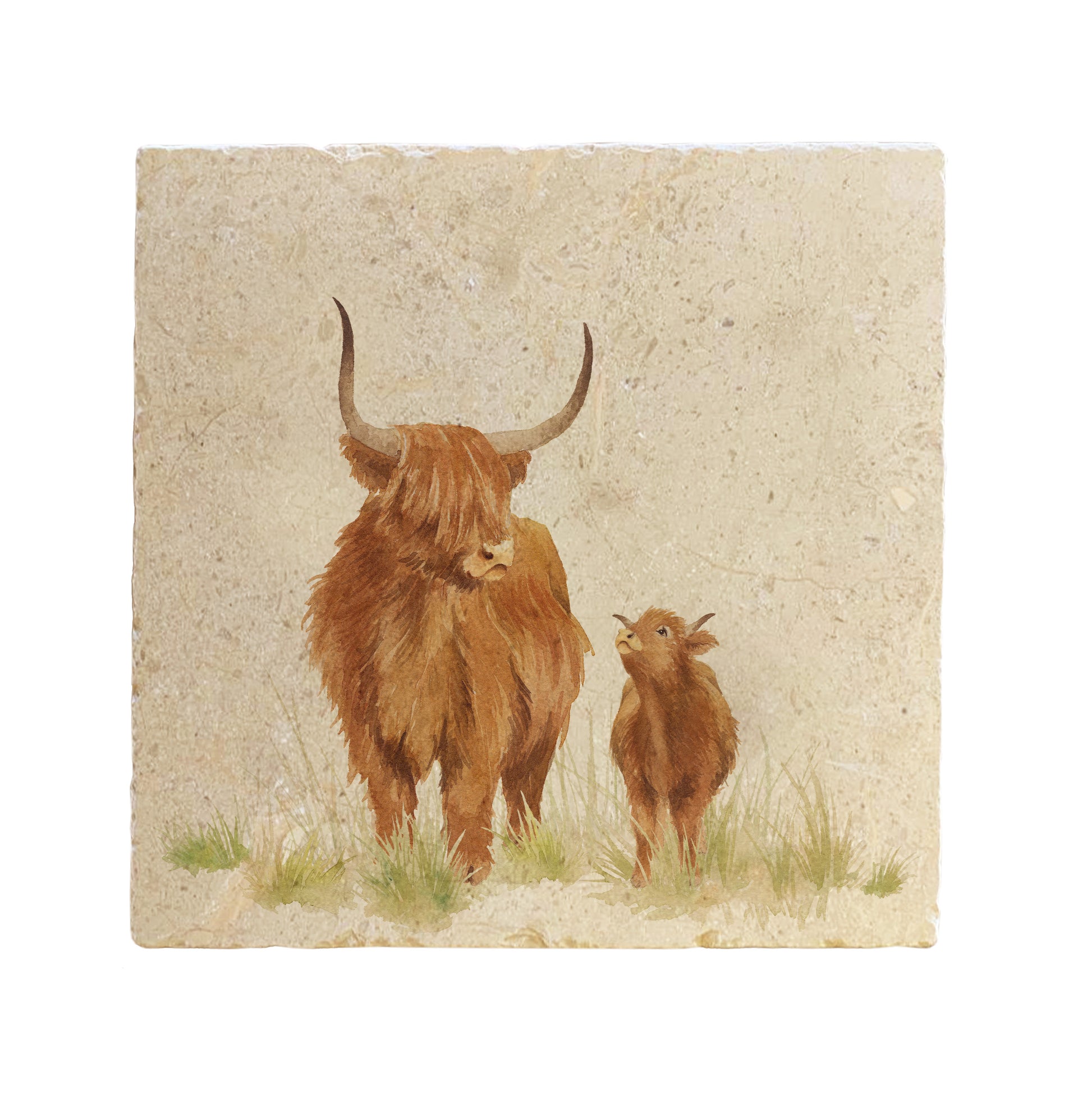 A square cream marble placemat featuring a watercolour countryside animal design of a Highland cow and calf.