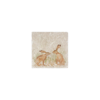 Two Hares becoming friends in a meadow