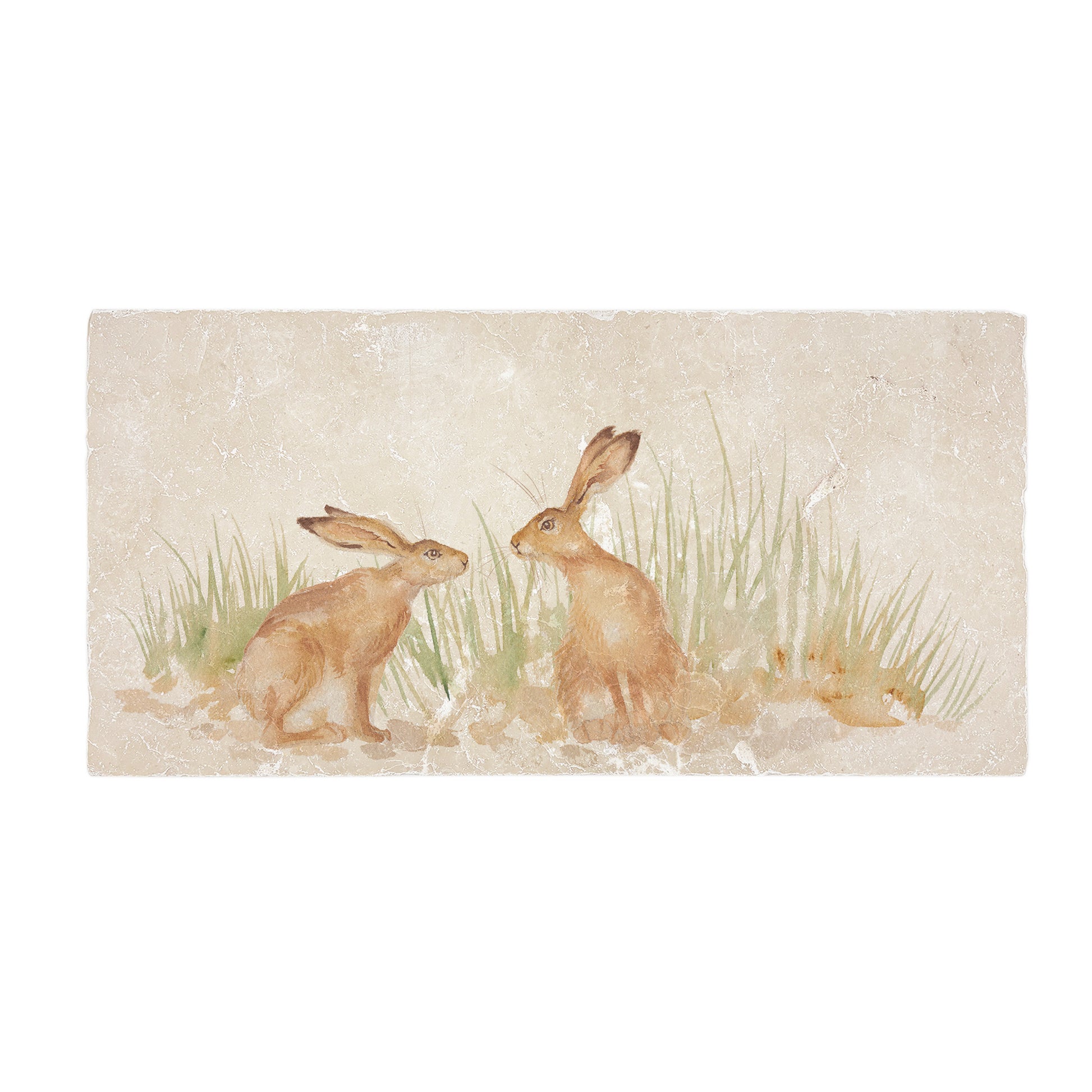 Two Hares becoming friends in a meadow