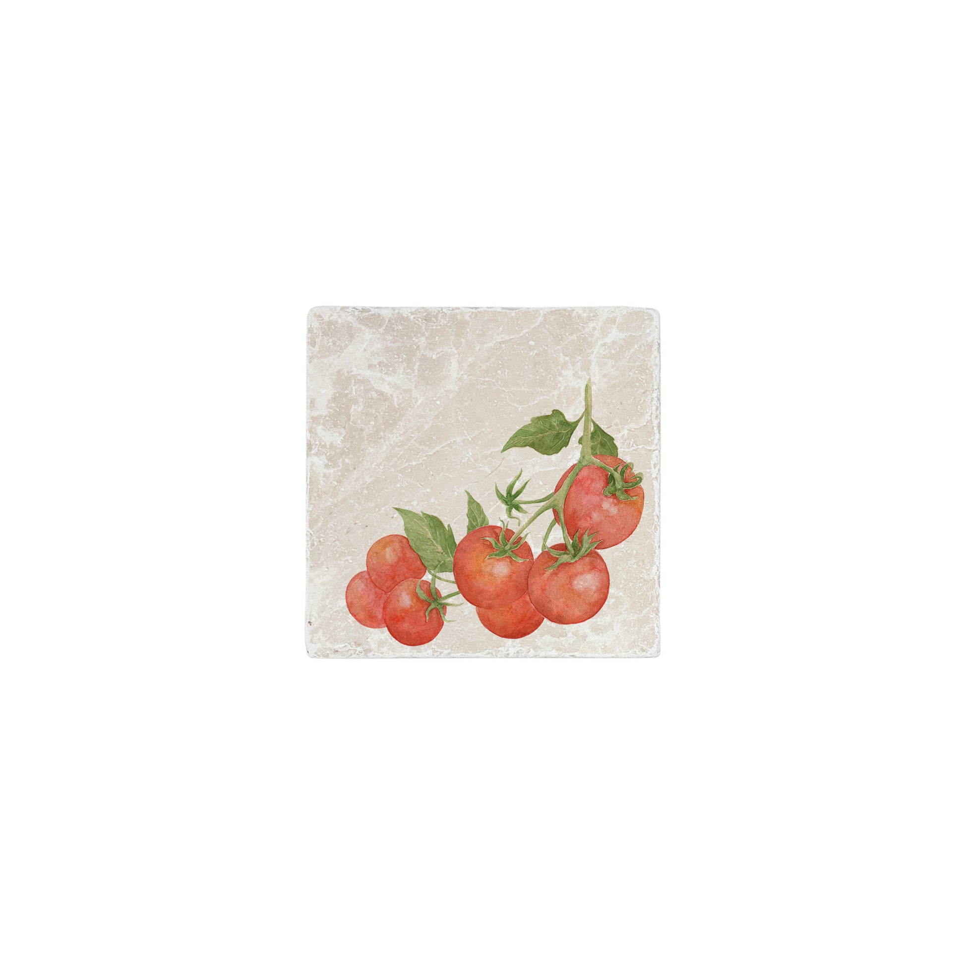 Watercolour Tomatoes 