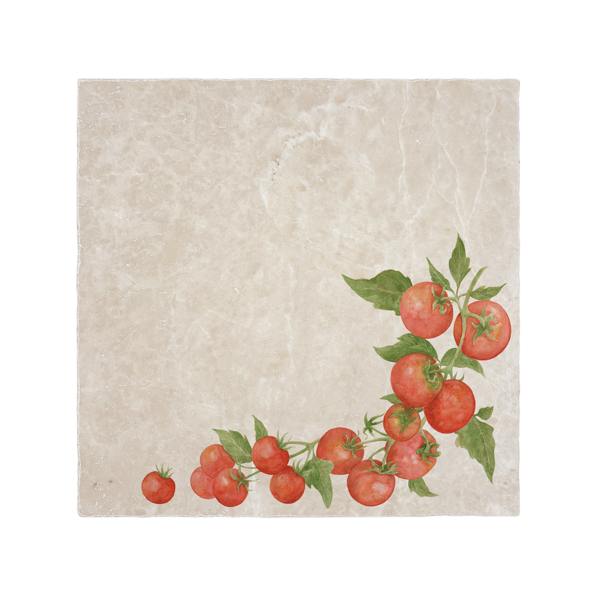 Watercolour Tomatoes 