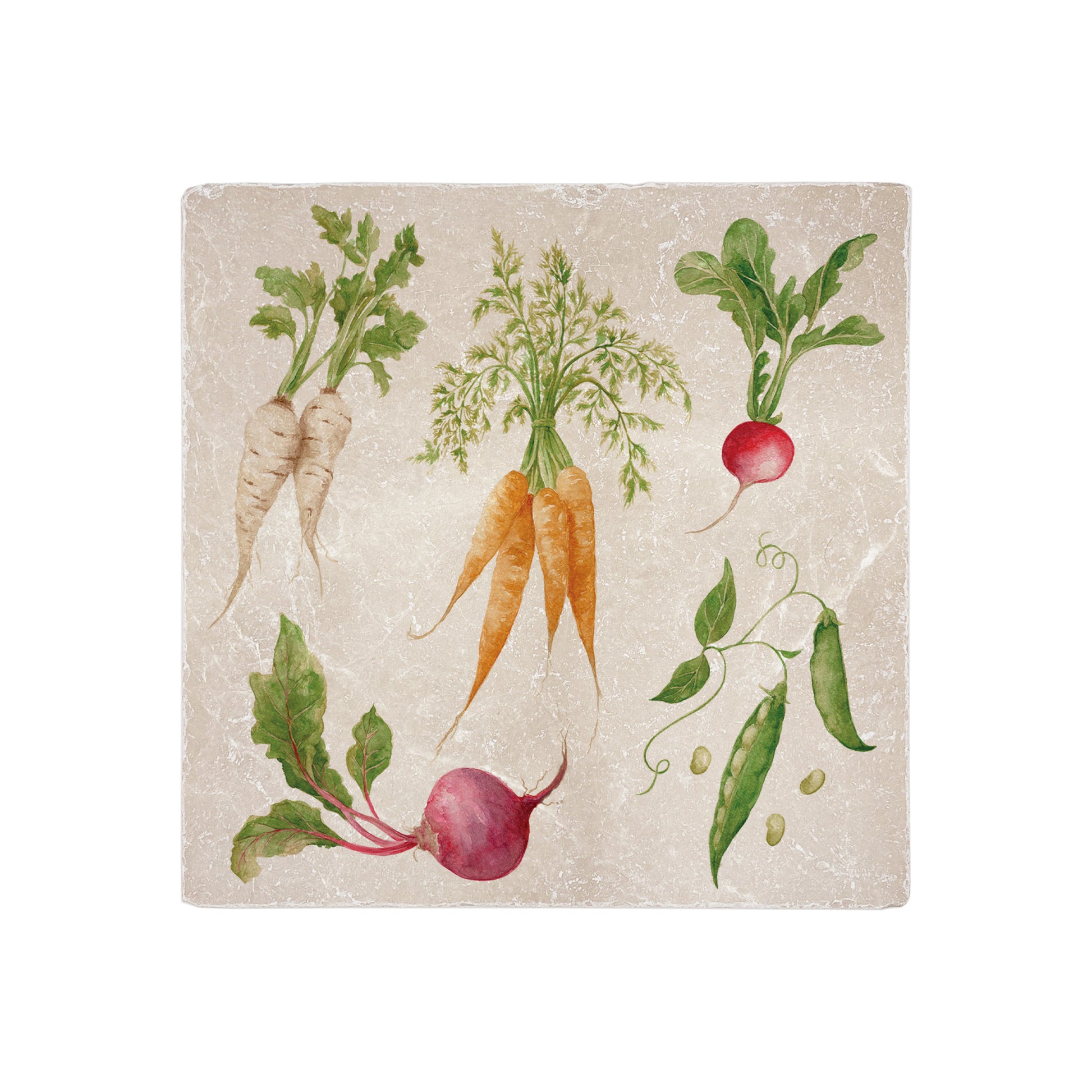 The Vegetable Garden Medium Platter featuring watercolour Carrots, Radish, Runner Beans, Beetroot and Parsnips 