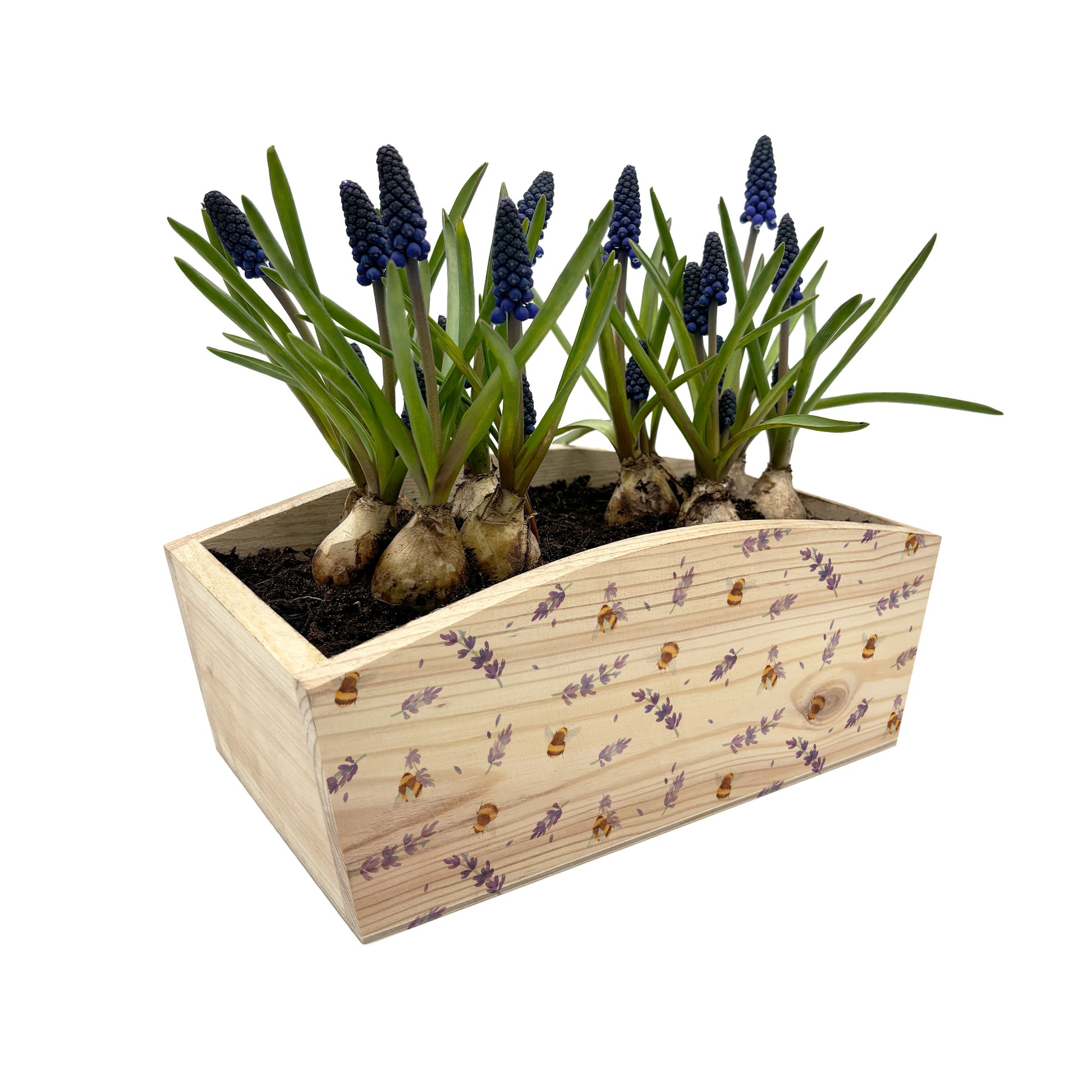 An arched wooden planter full of spring flowers. The planter has a watercolour repeat pattern of bees and purple and lilac lavender. An ideal gift for gardeners.