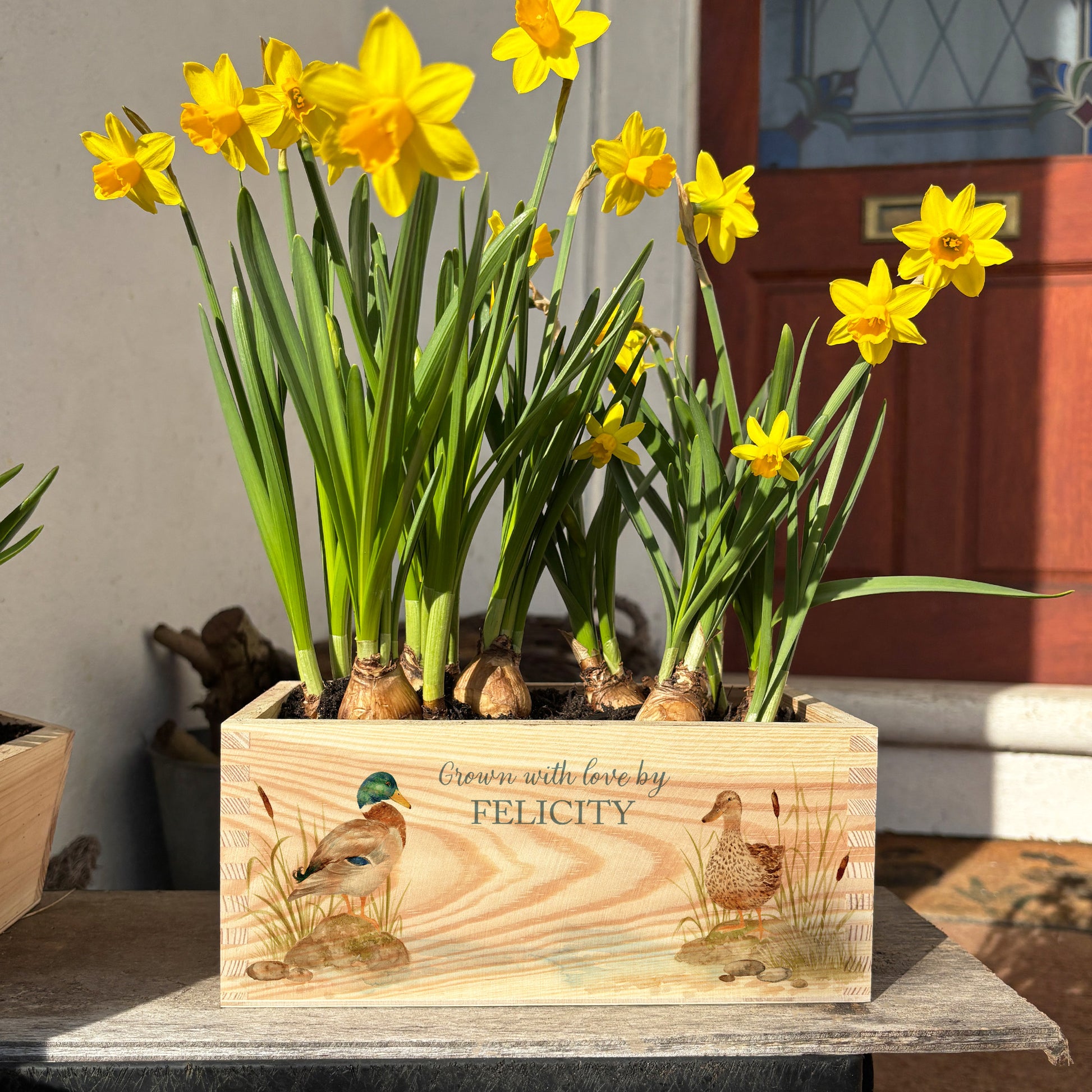 A rectangle wooden planter full of bright daffodils. The planter box shows a watercolour design of two mallard ducks by the pond, and is personalised with a special message and custom name. An ideal gift for gardeners, birthdays, weddings, anniversaries, engagements and other special occasions.