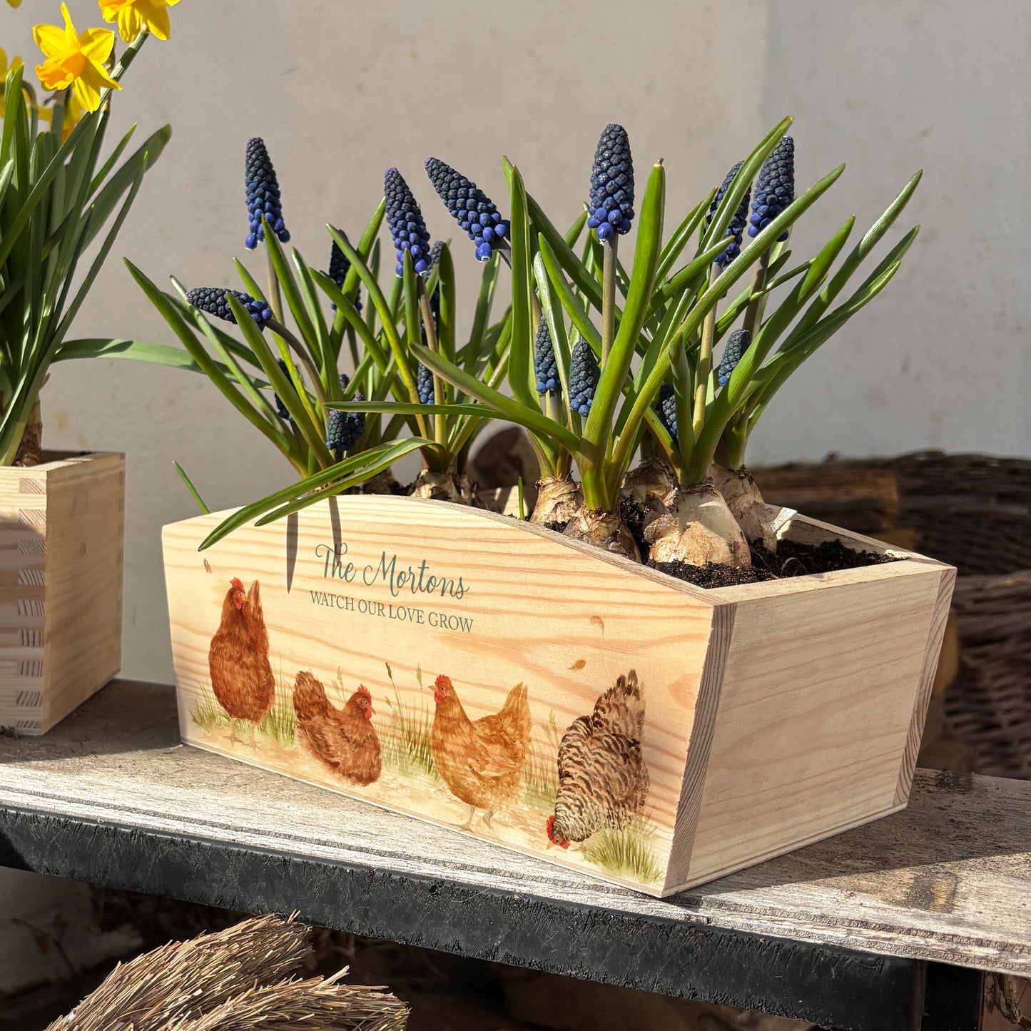 An arched wooden planter box full of spring bulbs. The planter box shows a watercolour design of a flock of hens pecking in the farmyard. The planter can be personalised with names and a selection of phrases to suit any occasion, including wedding, anniversary, engagement, birthday and new home.
