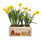 A rectangle wooden planter box with a watercolour design of a flock of hens pecking in the grass in the farmyard. The planter can be personalised with a name and a selection of custom phrases to suit any occasion. A perfect gift for gardeners.