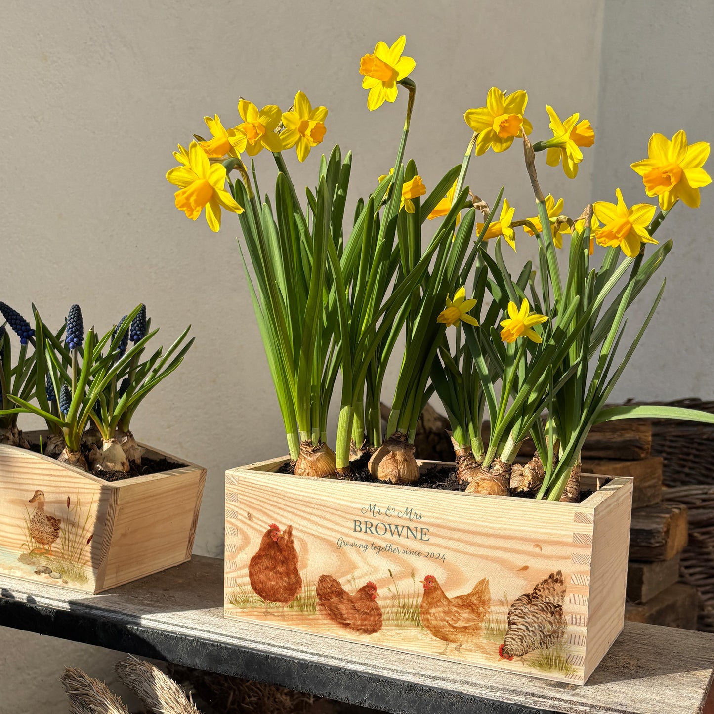 A rectangle wooden planter box showing a watercolour design of farmhouse hens. The garden planter is personalised with a special message and custom name and wedding or anniversary year. An ideal gift for wedding, anniversary, or engagement occasions.