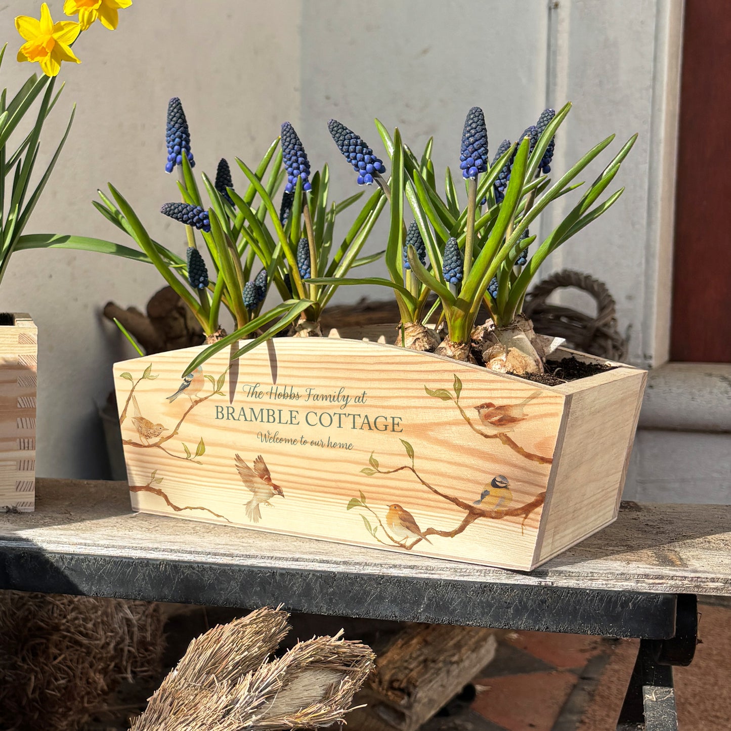 An arched wooden planter box full of spring bulbs. The planter box shows a watercolour design of garden birds on branches. The planter can be personalised with names and a selection of phrases, making it an ideal gift for any occasion.