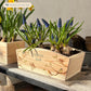 An arched wooden planter box full of spring bulbs. The planter box shows a watercolour design of garden birds on branches. The planter can be personalised with a name and a selection of custom phrases to suit any occasion including birthday, wedding, anniversary, engagement, and new home.
