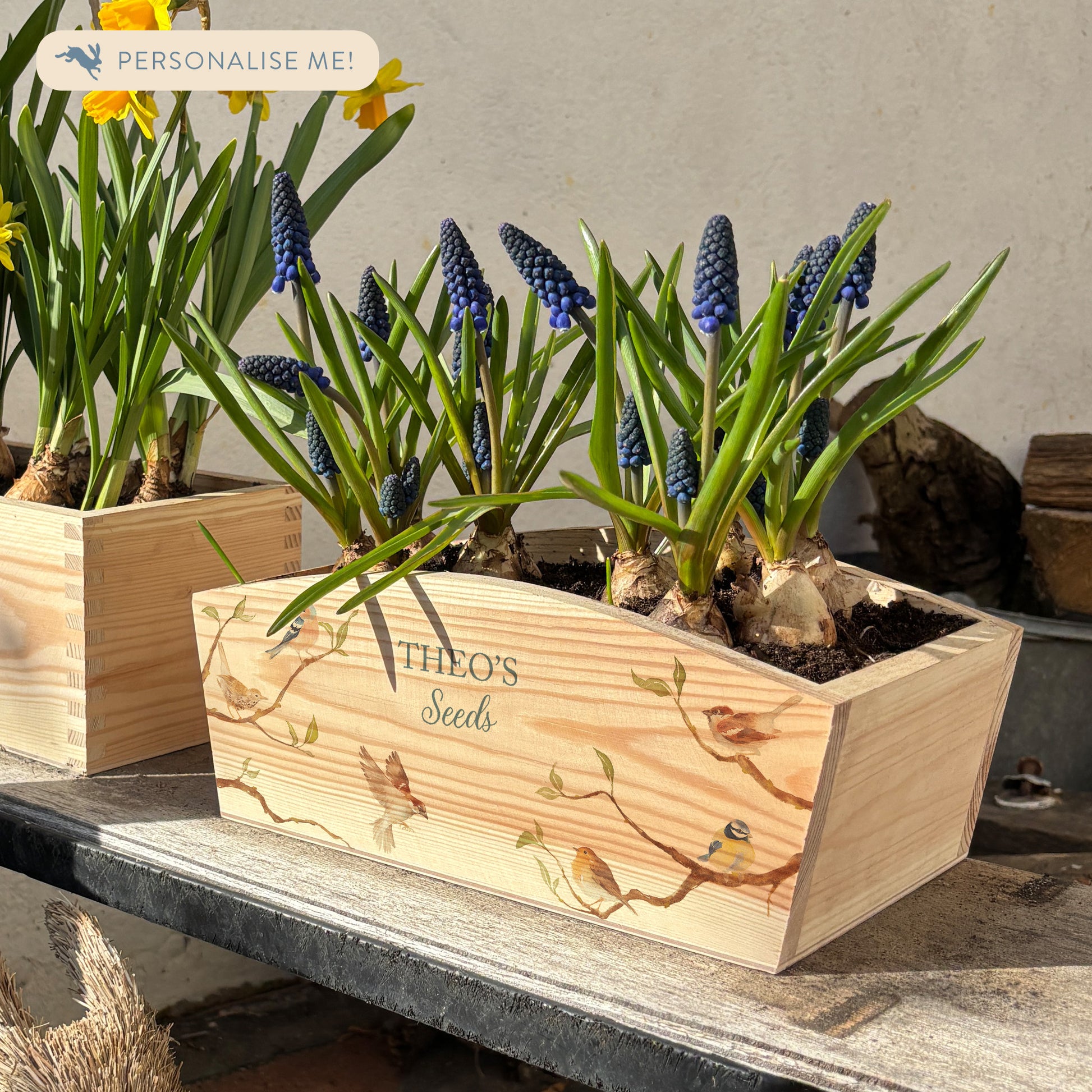 An arched wooden planter box full of spring bulbs. The planter box shows a watercolour design of garden birds on branches. The planter can be personalised with a name and a selection of custom phrases to suit any occasion including birthday, wedding, anniversary, engagement, and new home.