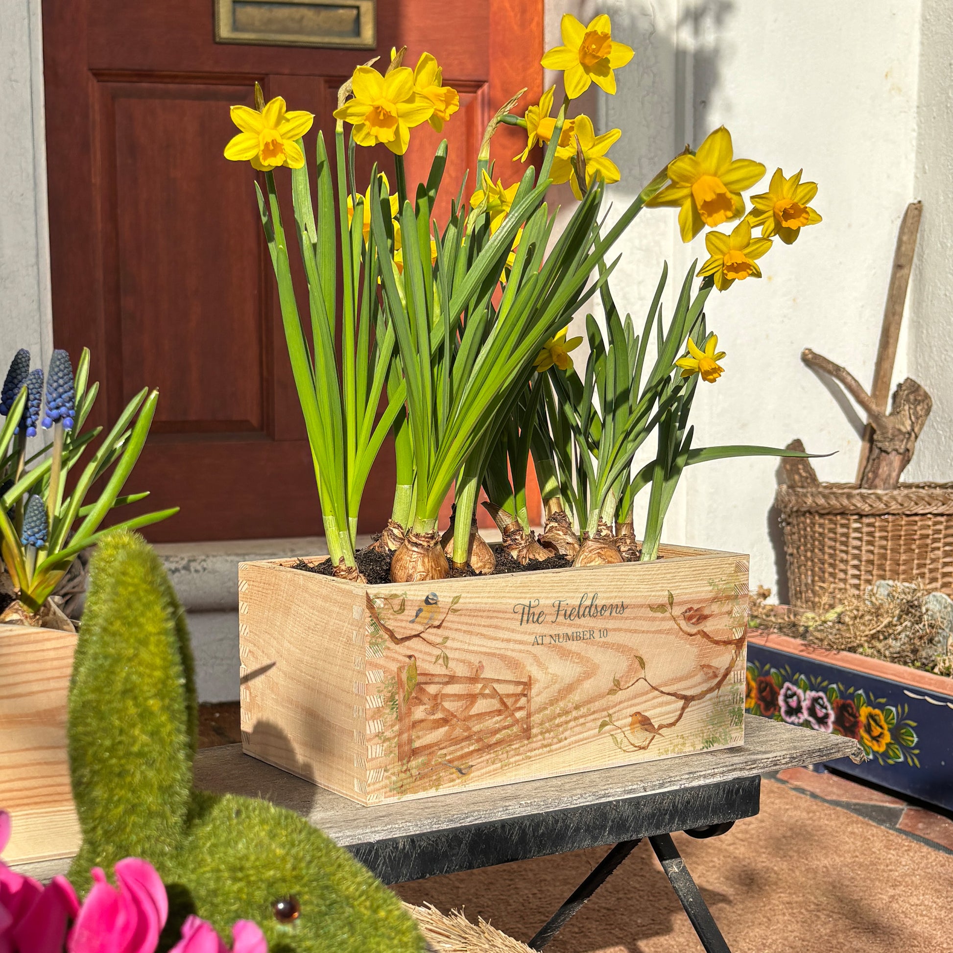 A rectangle wooden planter full of bright daffodils. The planter box shows a watercolour design of a hedgerow full of garden birds around a gate, and is personalised with a custom name and address, house name or number. An ideal gift for gardeners or special occasions such as new home or housewarming present.