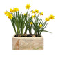A rectangle wooden garden planter box with a watercolour design of the humble hare in a grassy field. The planter can be personalised with a name and a selection of custom phrases to suit any occasion including birthday, wedding, anniversary, engagement, and new home.