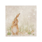 The Humble Hare signature design washing his ear. Ready to be centre of attention in your kitchen renovation. 