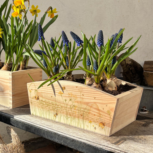 An arched wooden planter box full of spring flowers. The planter shows a watercolour design of busy bees in a field of buttercups surrounding a beehive. A thoughtful gift for anyone who loves their garden.