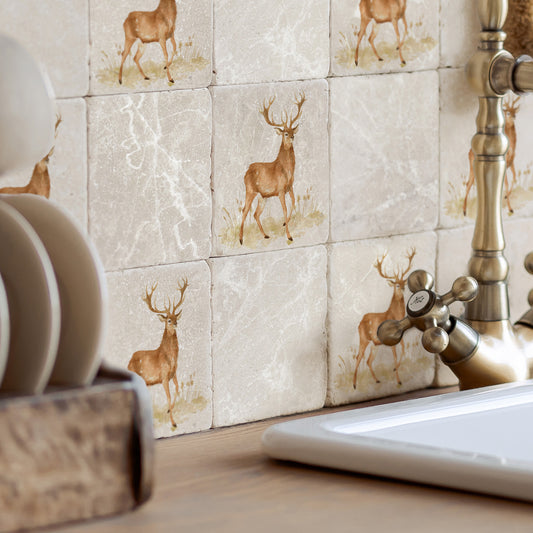 Majestic Stag, the ruler of the land