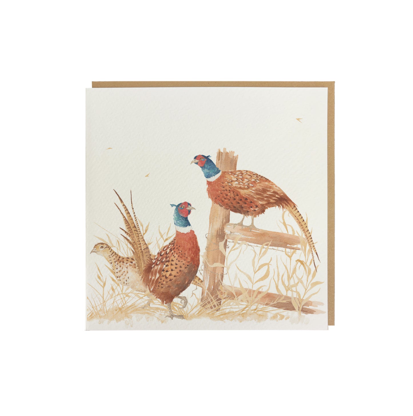 A greetings card featuring a group of pheasants in a watercolour style. The card has a recyclable brown kraft envelope behind it.