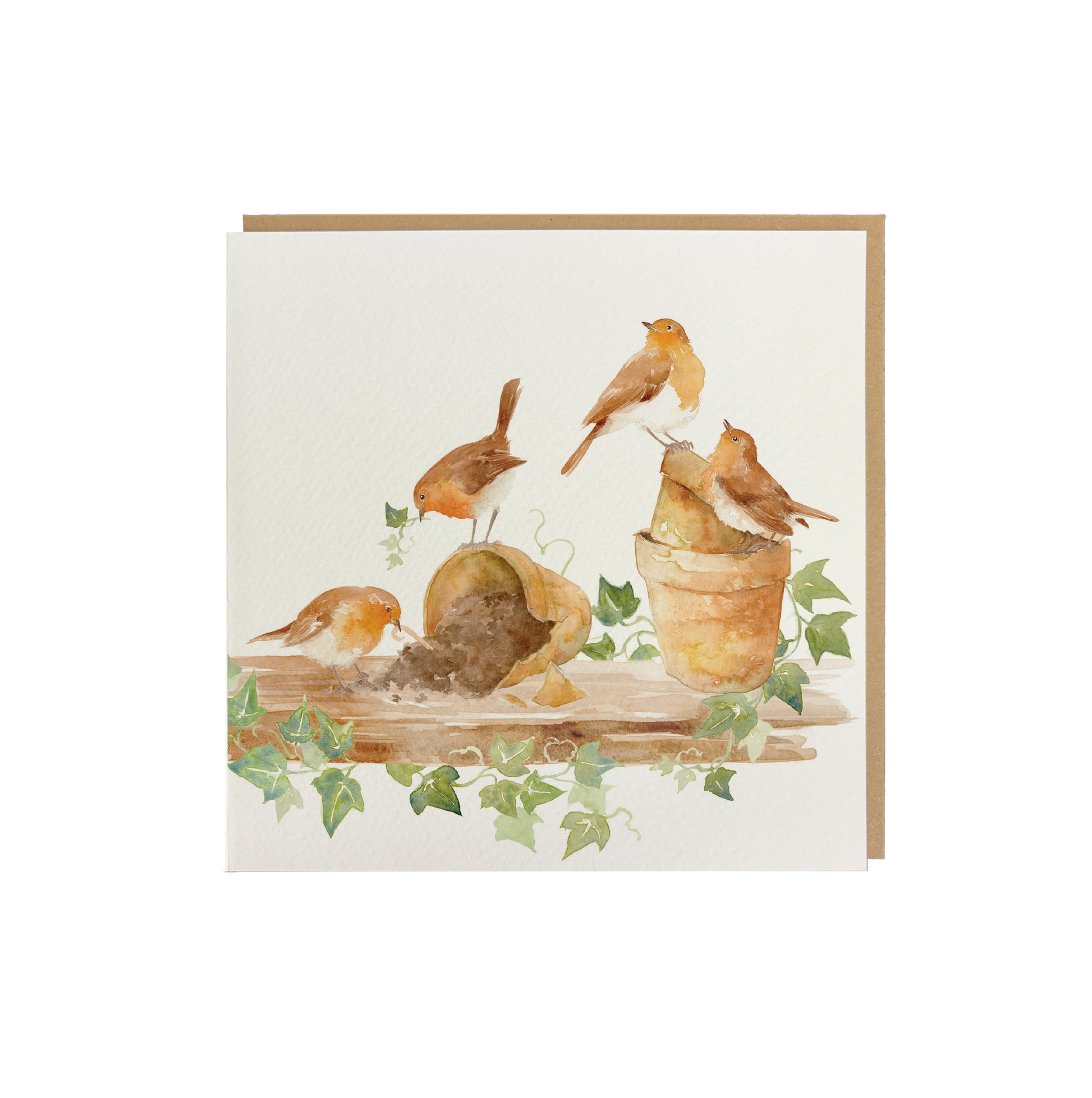 A greetings card featuring a group of robins causing mischief on a potting shed shelf in a watercolour style.