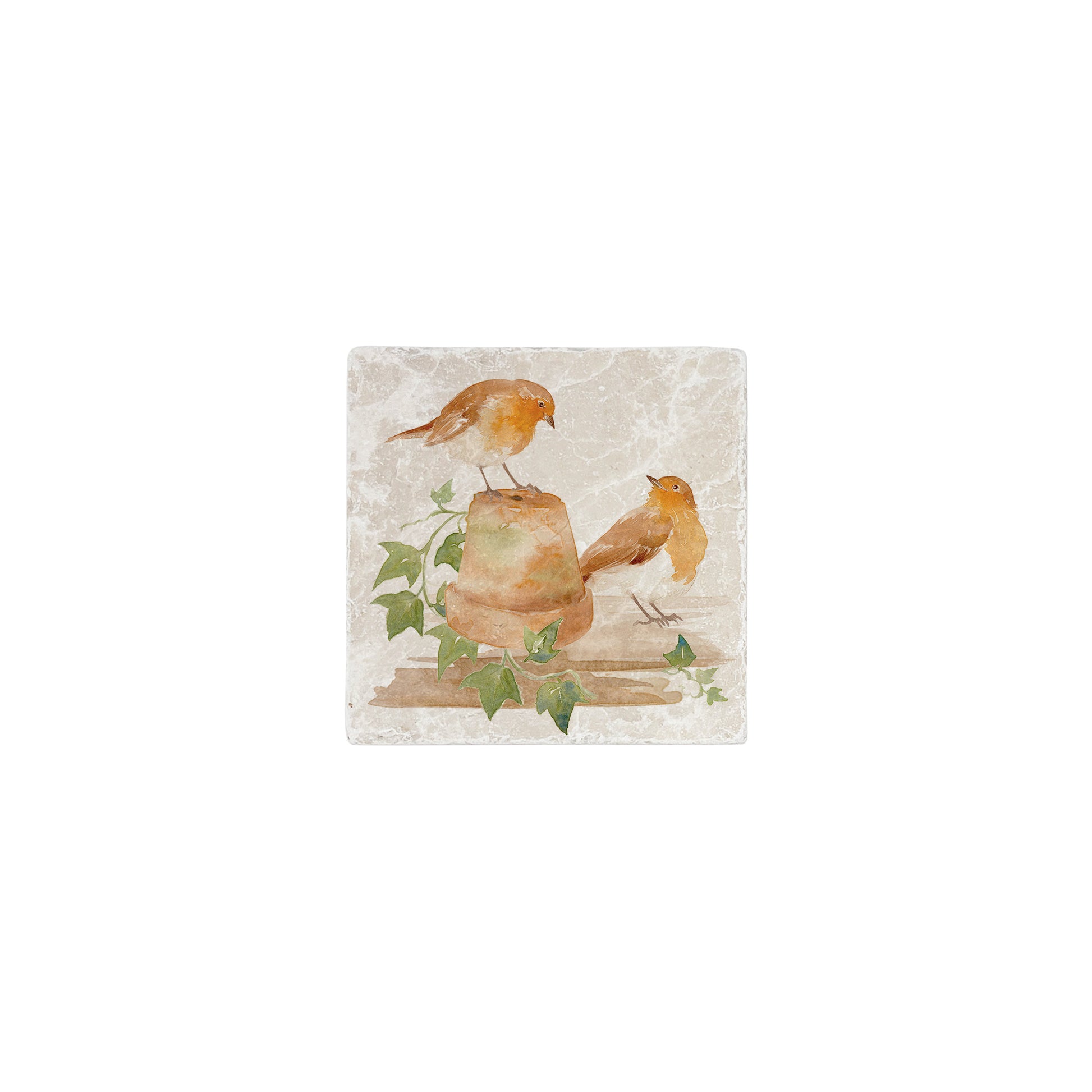 A 10x10cm cream marble splashback tile with a watercolour design featuring two robins with an upturned plant pot and ivy.