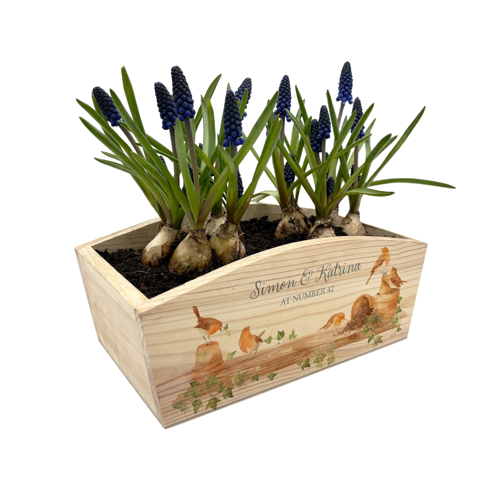 A rectangle wooden planter box with a watercolour design of robins causing mischief in the potting shed. The planter can be personalised with a name and a selection of custom phrases. Perfect gift for gardeners and special occasions. The planter can be used for bulbs and plants or as garden storage.