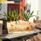 An arched wooden planter box full of spring bulbs. The planter box shows a watercolour design of robins up to mischief in the potting shed knocking over plant pots. The planter can be personalised with names and a selection of phrases, making it an ideal gift for any occasion.