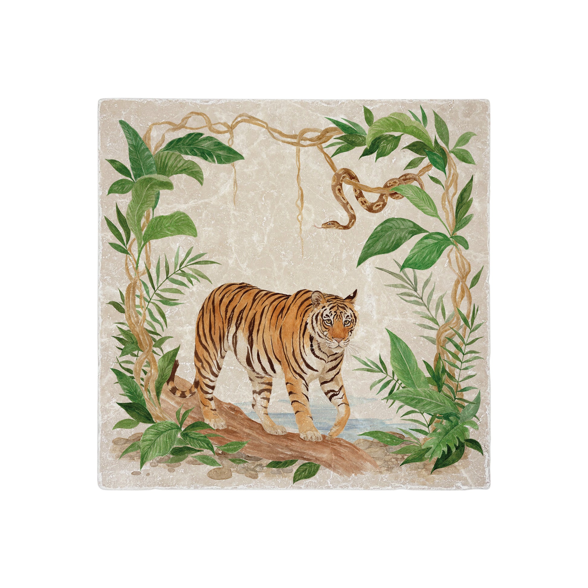 Welcoming our Rainforest Design, surrounded by the rainforest leaves and vines. Capture our Tiger and Python  quietly prowling through the Rainforest, Illustrated in our  original watercolour designs on our Medium Placemat. 