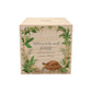 handmade childrens bedroom decor money box with watercolour animals, personalised money box with a tortoise design 